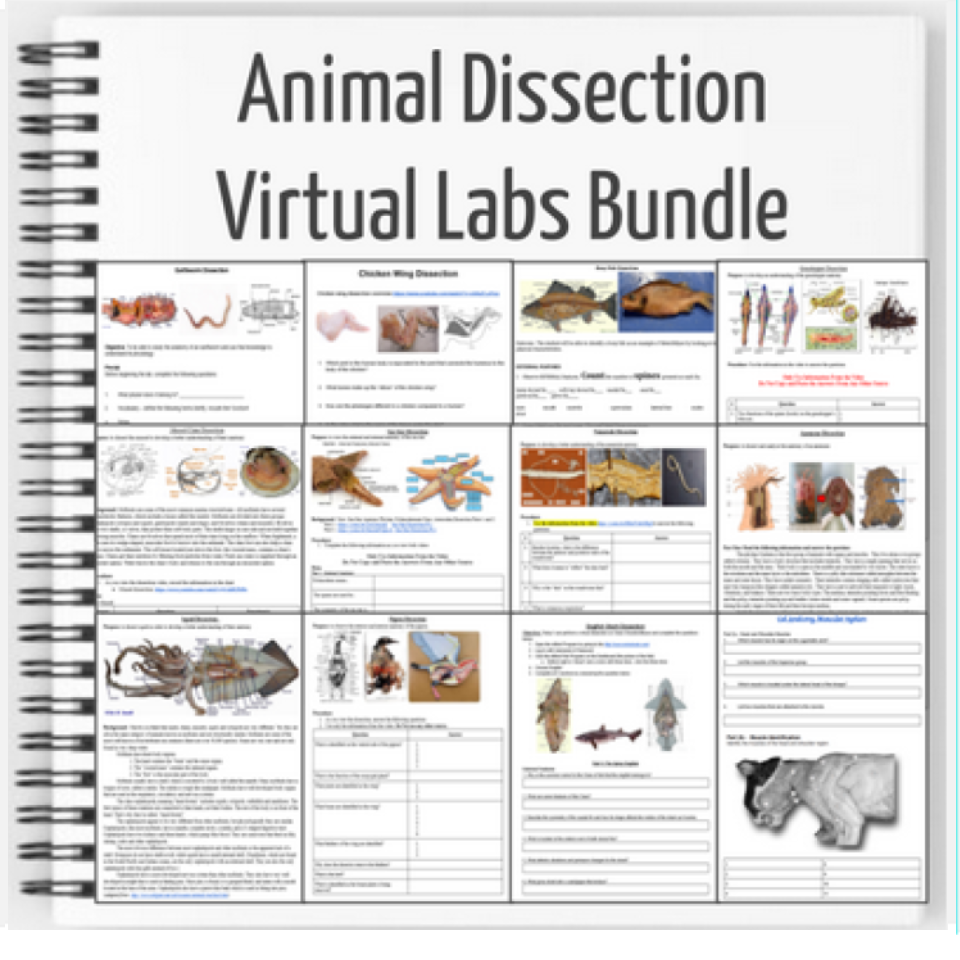 Animal Dissection VIRTUAL LAB Bundle (12 Labs)