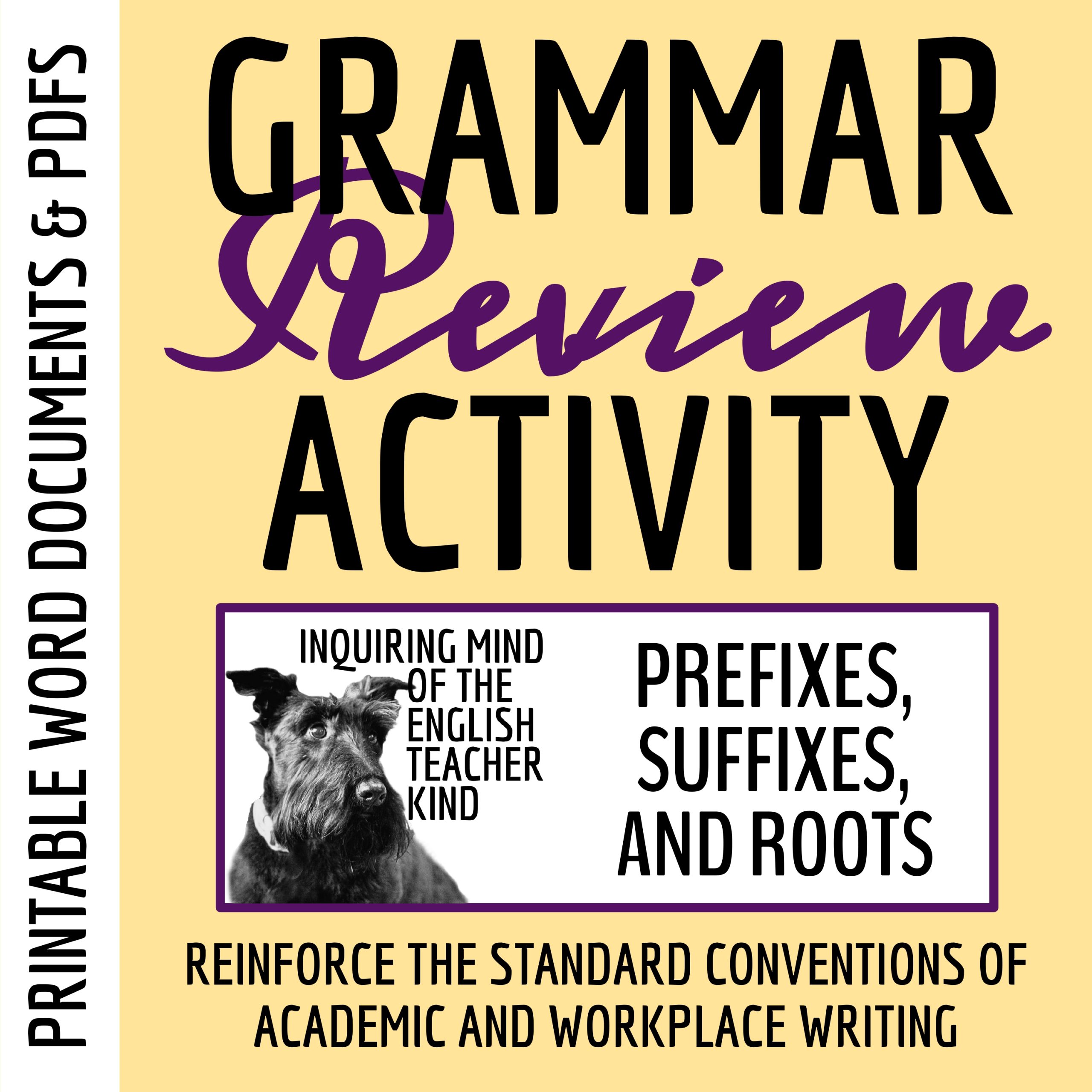 High School Grammar Review Worksheet on Prefixes, Suffixes, and Roots