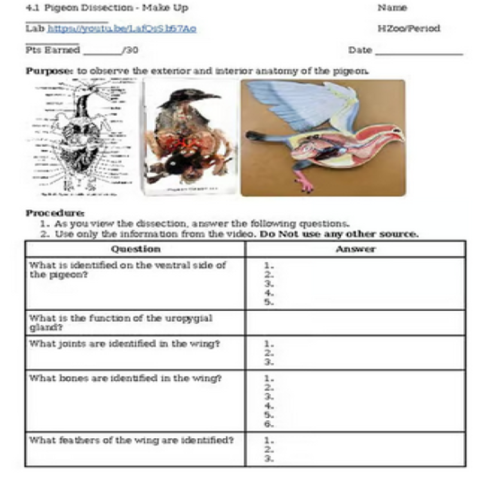 Pigeon Dissection Make-Up VIRTUAL LAB