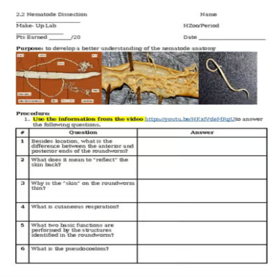 Nematode (Roundworm) Dissection VIRTUAL LAB