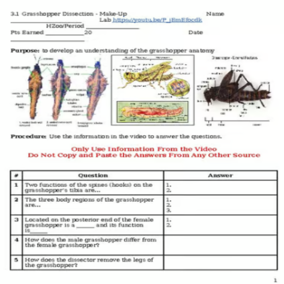 Grasshopper Dissection Make-up VIRTUAL LAB