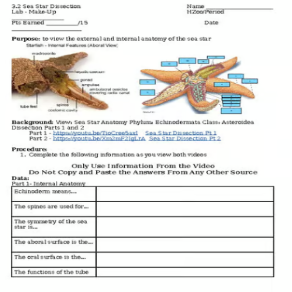 Sea Star Dissection Make-up VIRTUAL LAB