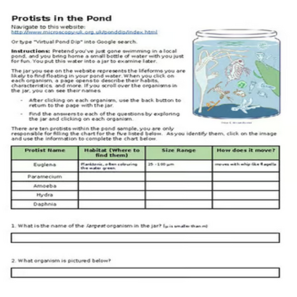 Protists in the Pond VIRTUAL LAB - Biology (Google Doc)