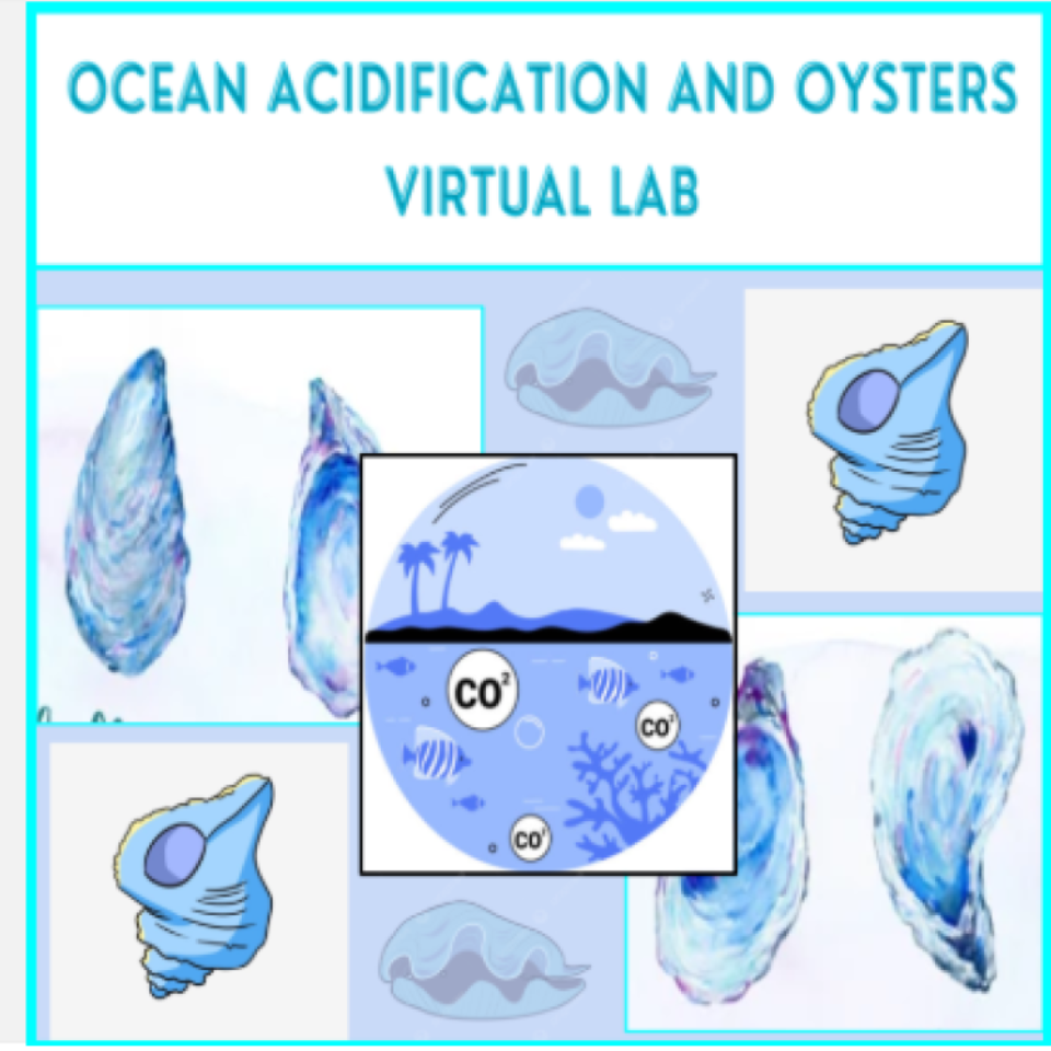 Ocean Acidification Effects on Oysters Online Lab