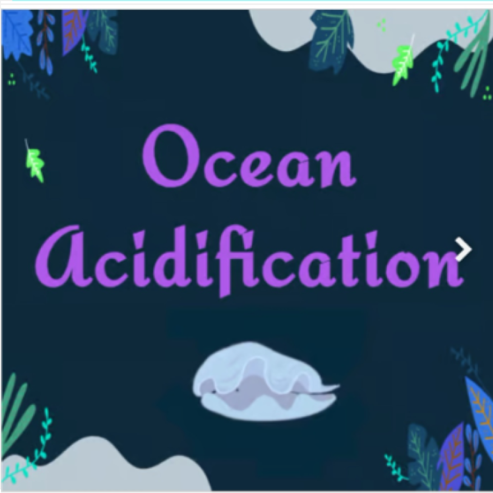 Ocean Acidification & Oysters Interactive VIRTUAL LAB SIMULATION Google Slides