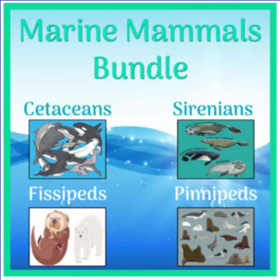 Marine Mammals Unit Bundle (4 Pack) - Powerpoints & Worksheets Marine Biology