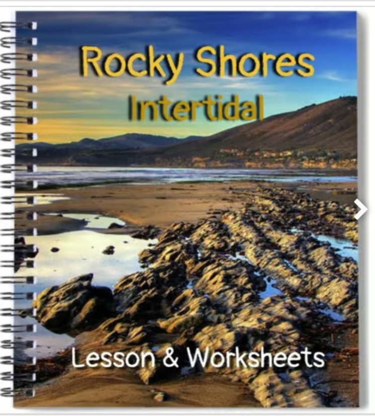 Marine Biology - Rocky Shores Intertidal Zone - Powerpoint Lesson & Worksheete