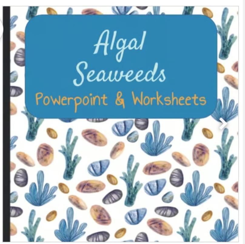 Marine Biology - Algal Seaweeds Powerpoint Lesson & Worksheets (Algae)