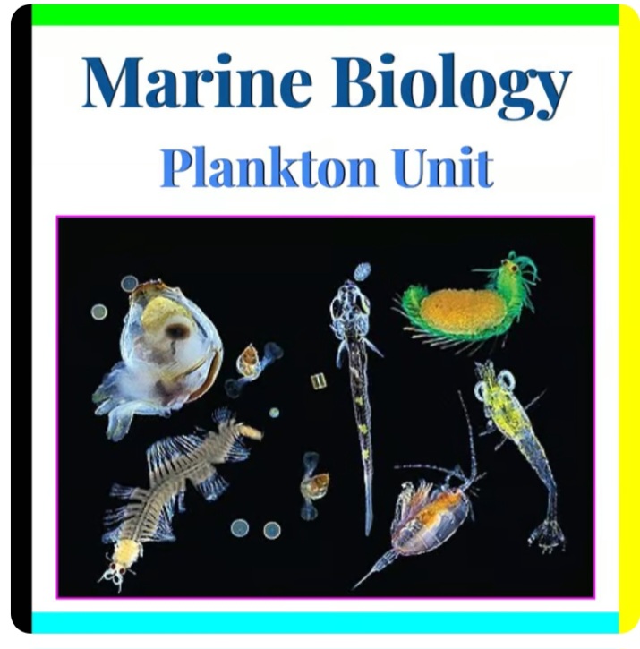 Marine Biology - Plankton Unit