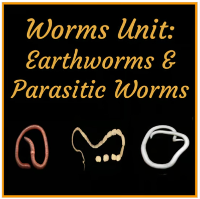 Worms Unit: Earthworms & Parasitic Worms PPT Lessons, Worksheets, Labs & Review