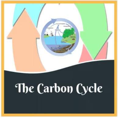 The Carbon Cycle Unit Resources - PPT Lesson, Readings, Worksheets