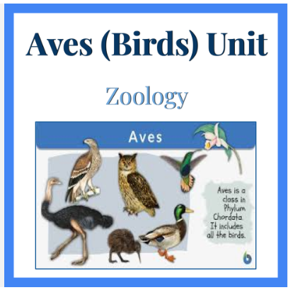 Aves (Birds) Unit Resources - Powerpoint, Worksheets & Labs