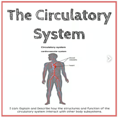 The Circulatory System Google Slides Activity