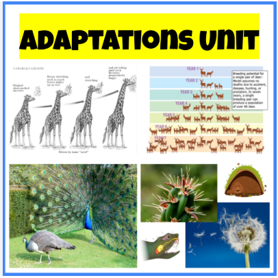 Adaptations Unit - Middle School Science