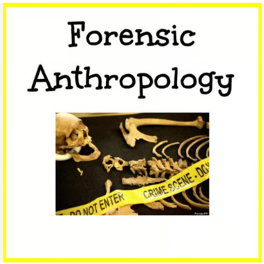 Forensic Anthropology - Bones - Forensic Science Lesson & Activity