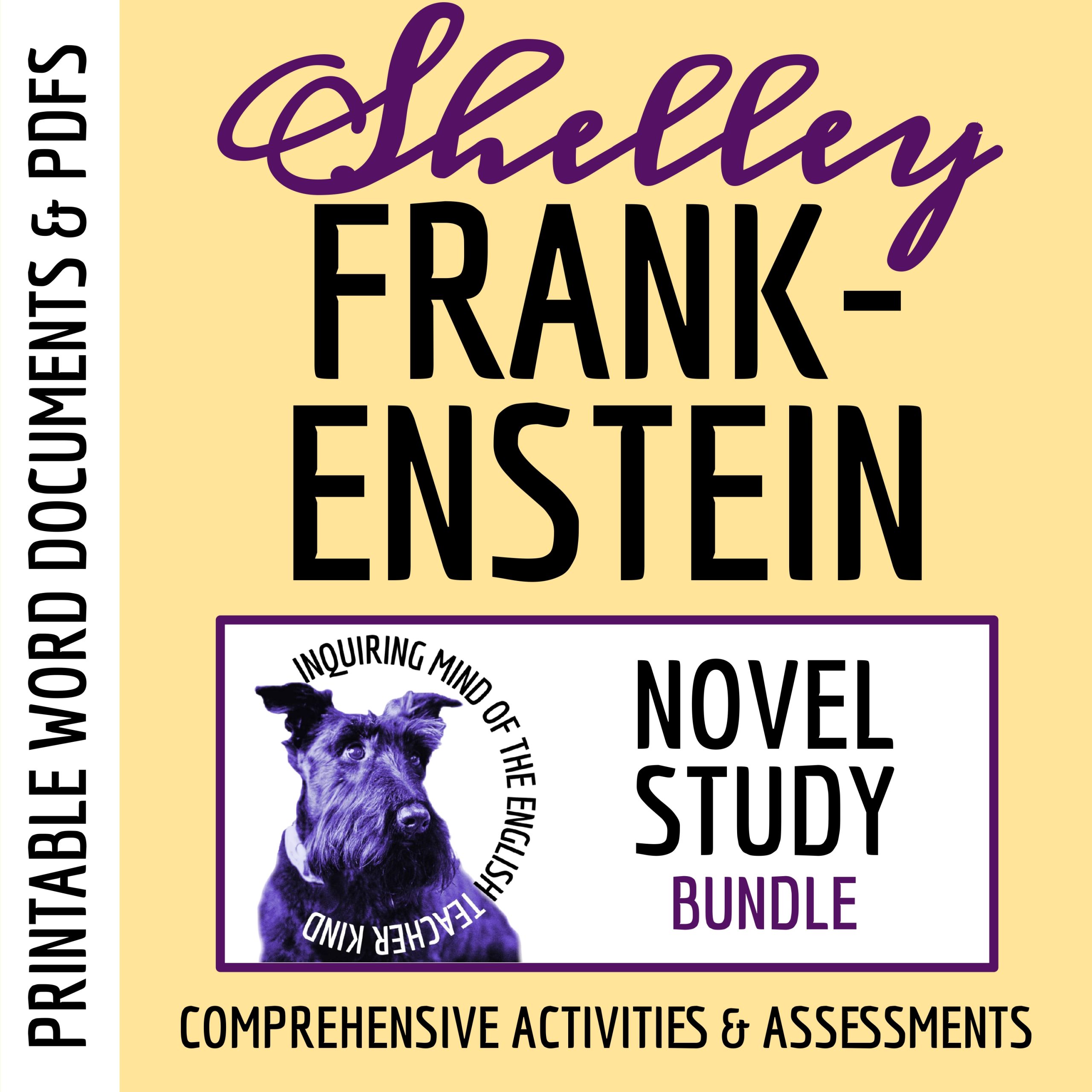 Frankenstein Quizzes, Close Reading Worksheets, Vocabulary Activities, Test, and Answer Keys Bundle
