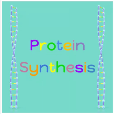 Protein Synthesis VIRTUAL Interactive PPT Lesson + DNA Replication Activities