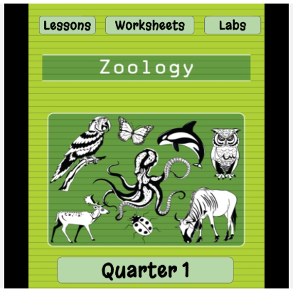Quarter 1 Zoology Powerpoint Lessons, Worksheets and Labs