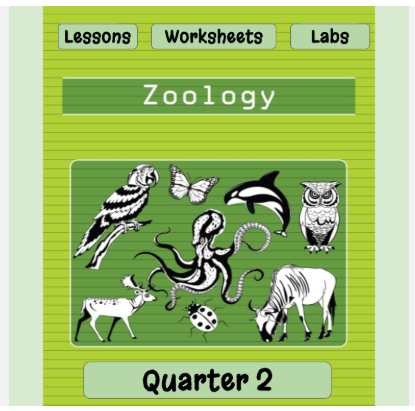 Zoology Quarter 2 - Powerpoint Lessons, Worksheets and Labs
