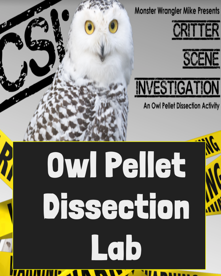 Owl Pellet In-Person Lab Powerpoint + Worksheets