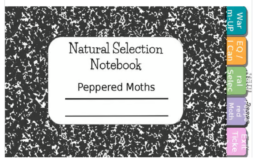 Natural Selection Peppered Moths Digital Notebook Lesson/Activity