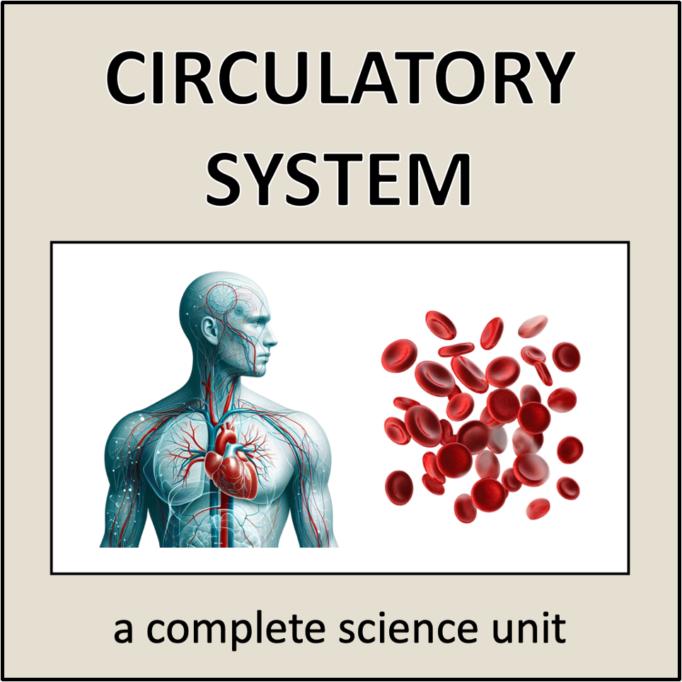 Circulatory System - a complete science unit