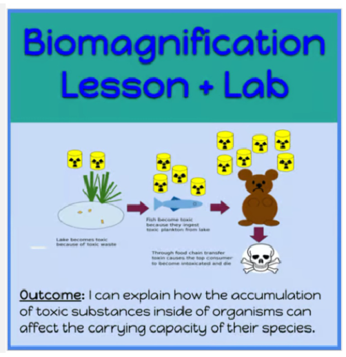 Biomagnification Lesson Unit - Powerpoint, Notetaker, Worksheets & Lab