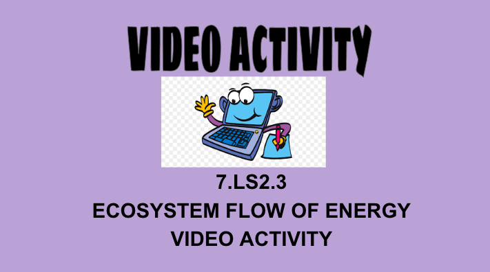 7.LS2.3 Ecosystem Flow of Energy Video Activity