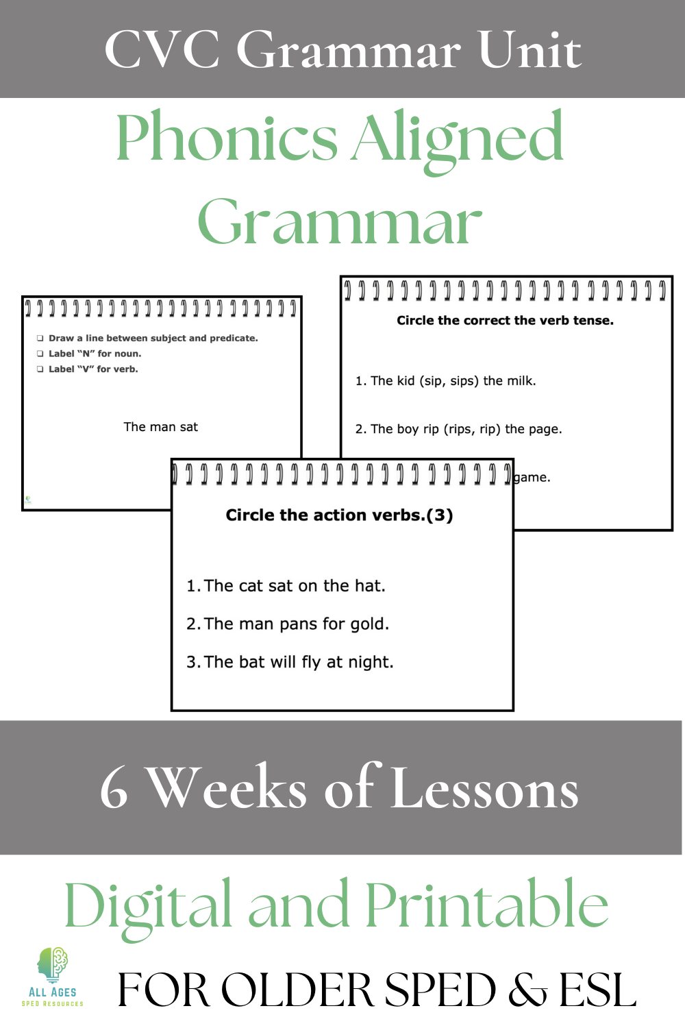 CVC Grammar Unit for Older Students | 6-Week Daily Practice | Nouns Verbs Adjectives