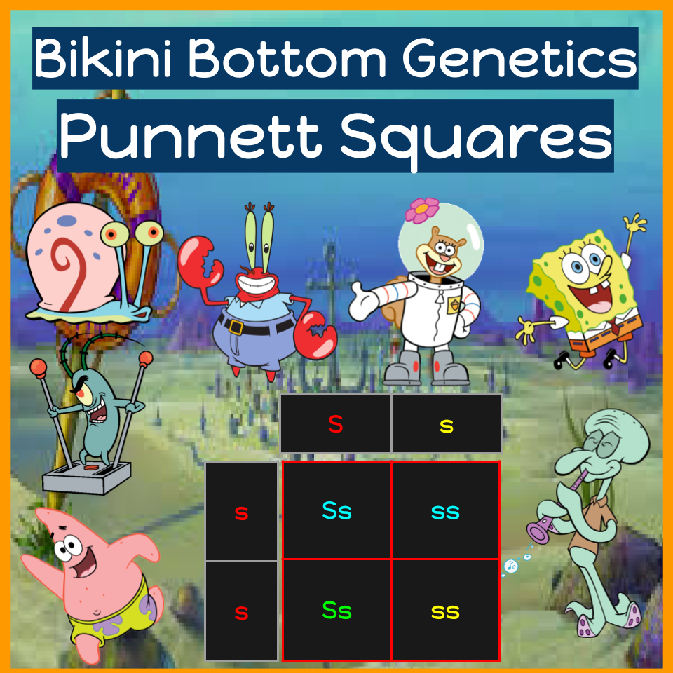 Spongebob Friends Bikini Bottom Genetics Punnett Squares Google Slides Activity