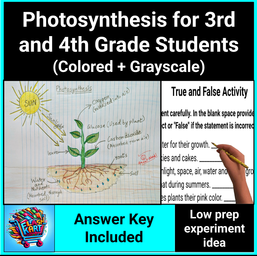 Photosynthesis Lesson, Worksheets, and Experiment for 3rd and 4th Grade Science
