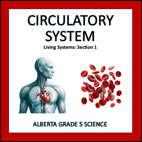 Circulatory System - Alberta Grade 5 Science