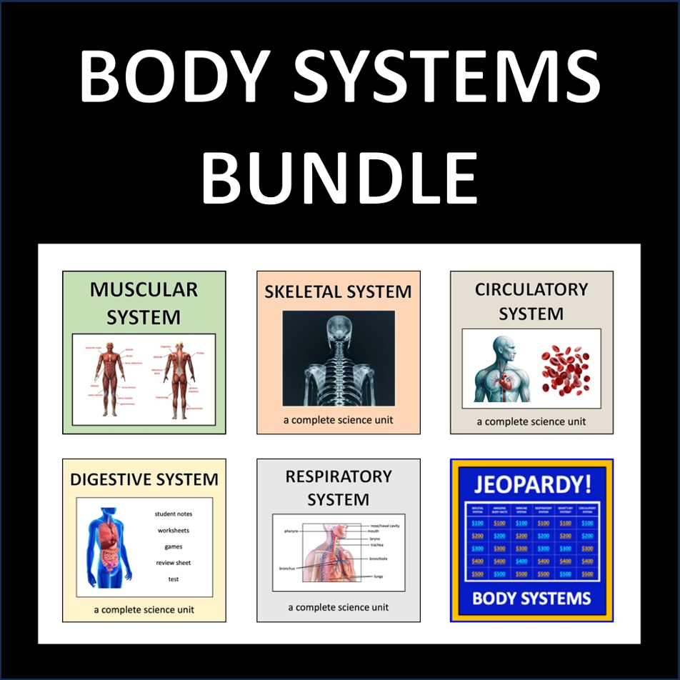 Body Systems Bundle - skeletal, muscular, digestive, circulatory, and respiratory