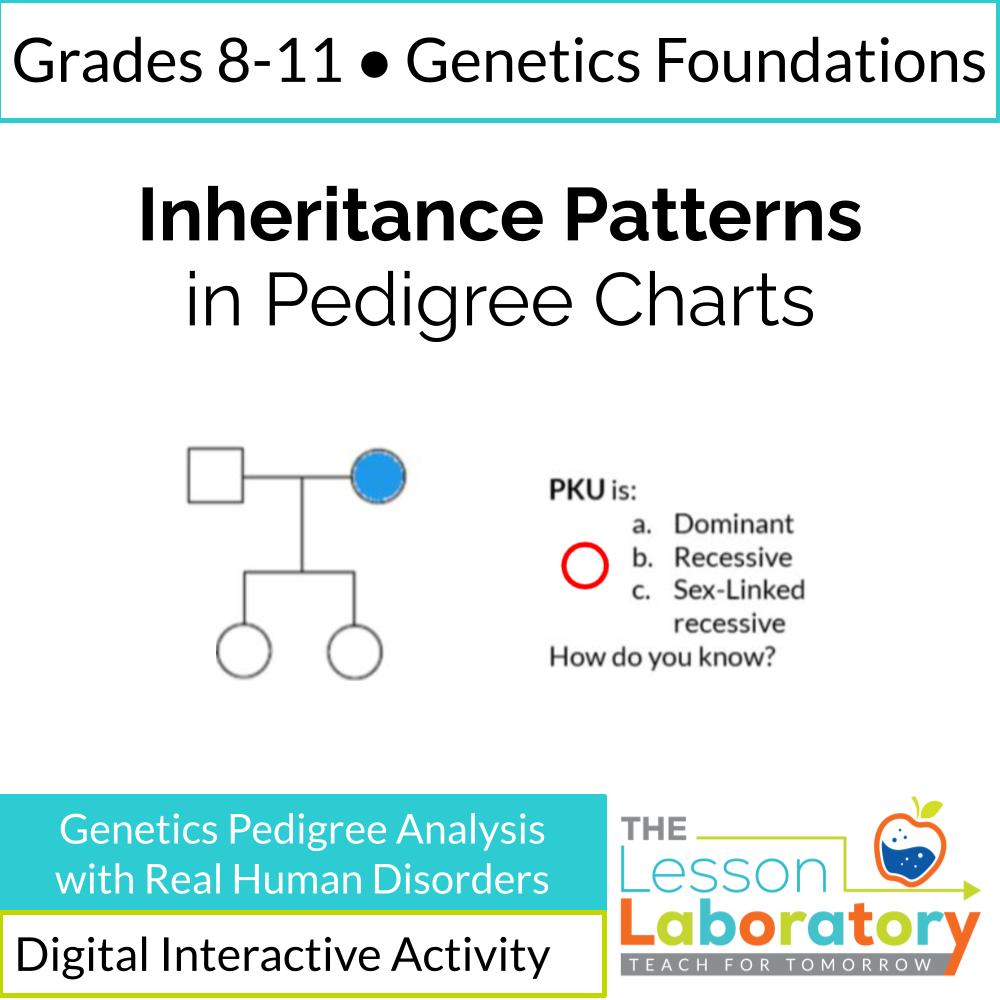 Pedigree Charts Genetics Activity | Dominant, Recessive & Sex-Linked Inheritance