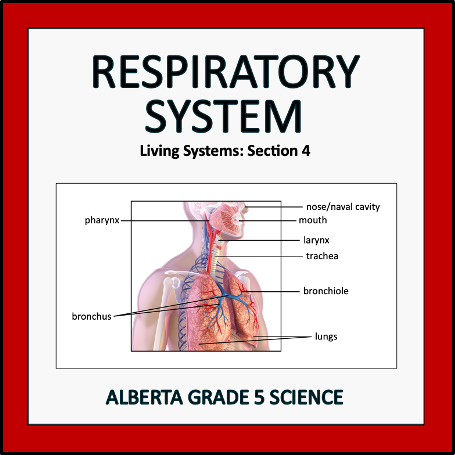 Respiratory System - Alberta Grade 5 Science
