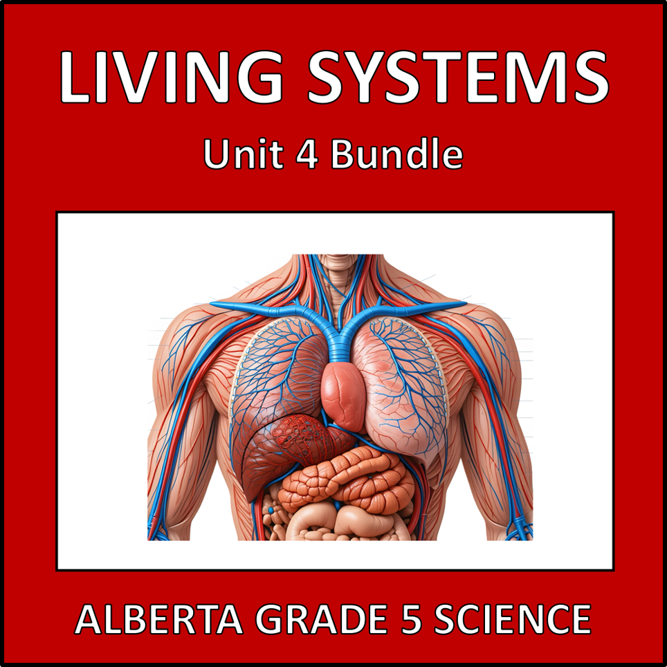 Living Systems - skeletal, muscular, digestive, circulatory, and respiratory systems