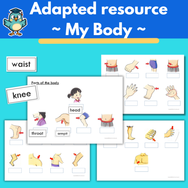 Interactive adapted Book| Body Parts Speech Therapy | Autism & Special ...