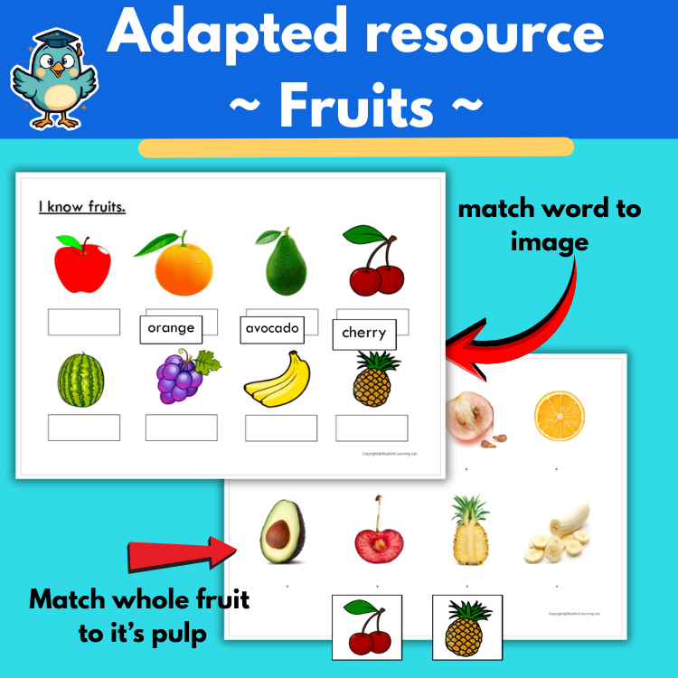 Matching fruits adapted resource | SPED Autism |life skills - Made