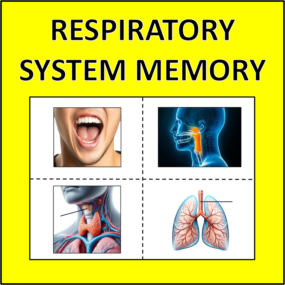 Respiratory System Memory - a science game