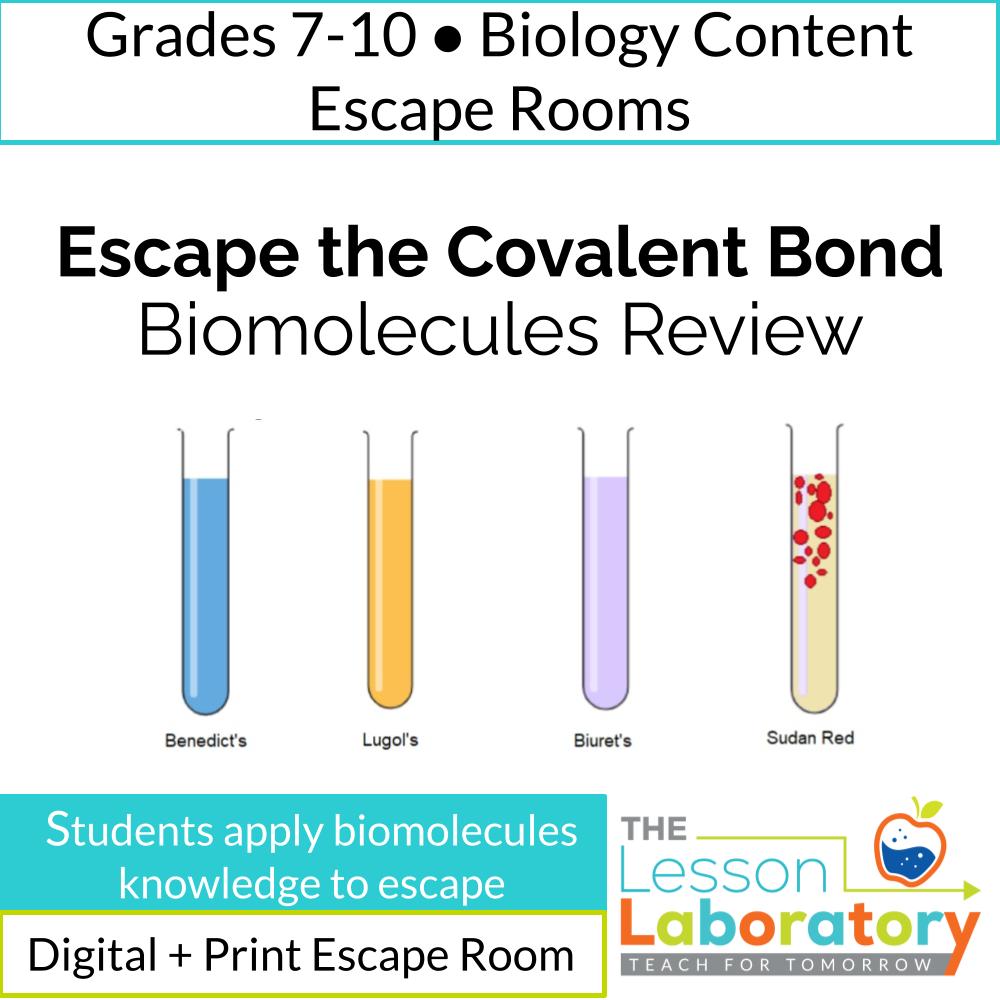 Biomolecules Escape Room (Biology) | Google Forms Digital Review | Macromolecules, pH, Enzymes