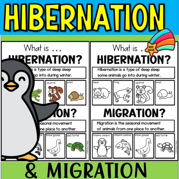 hibernation and migration posters and worksheets | Made By Teachers