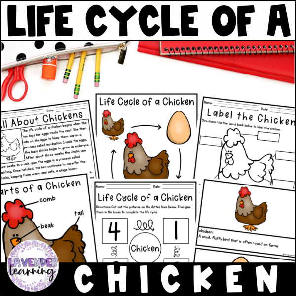 All About Chickens Parts of a Chicken Facts Life Cycle Book Cut Paste ...