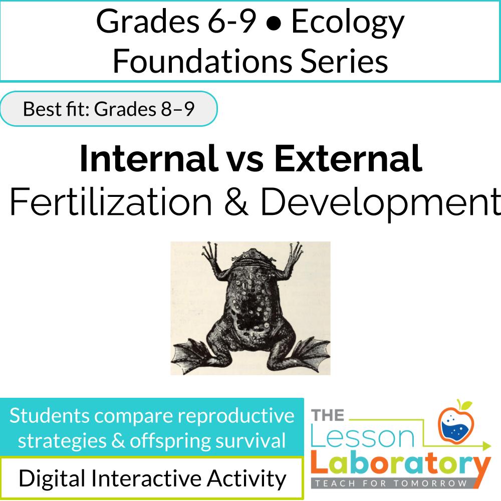 Internal vs. External Fertilization & Development | Reproductive Strategies