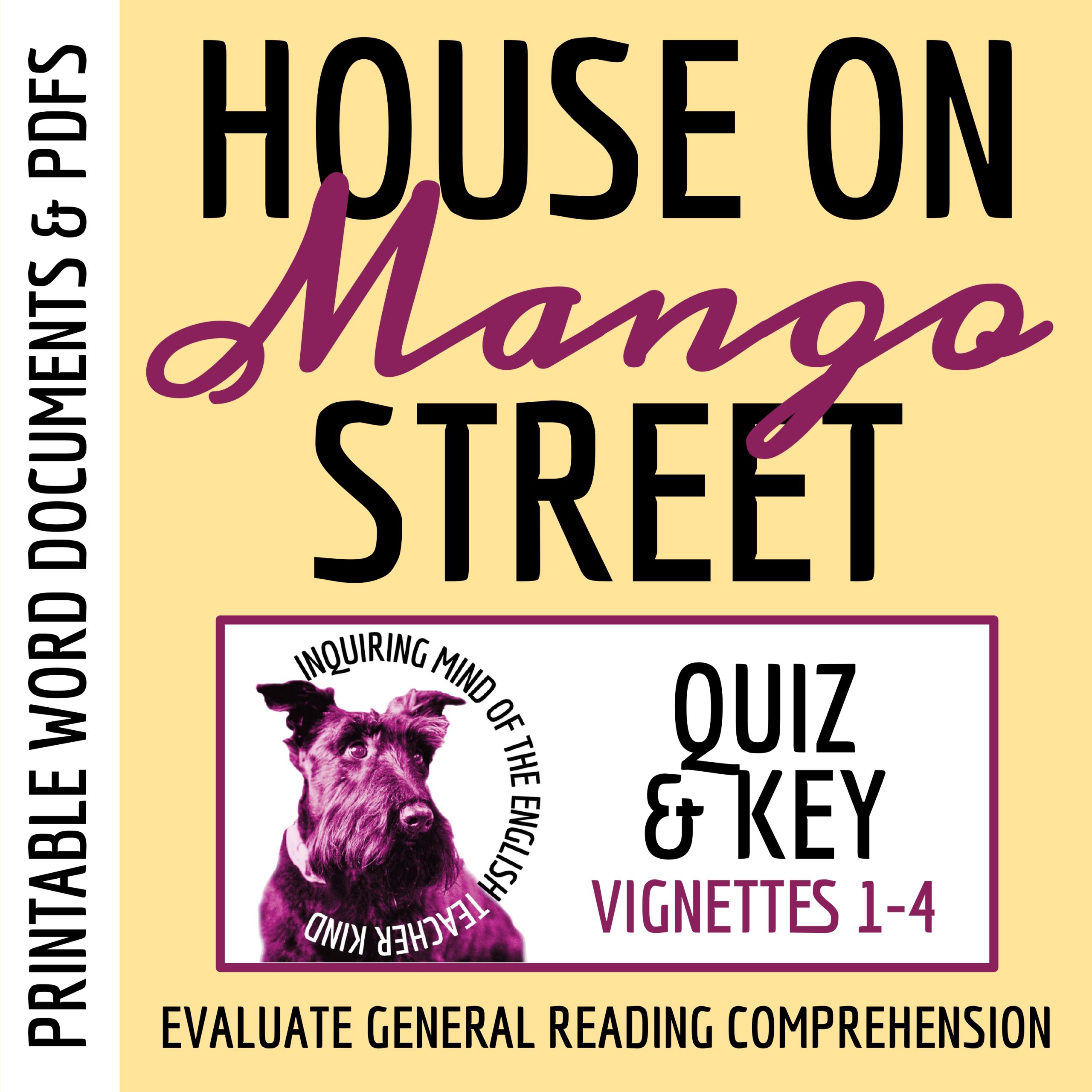 House on Mango Street Chapters 1-4 Quiz & Key | Independent Reading Worksheet