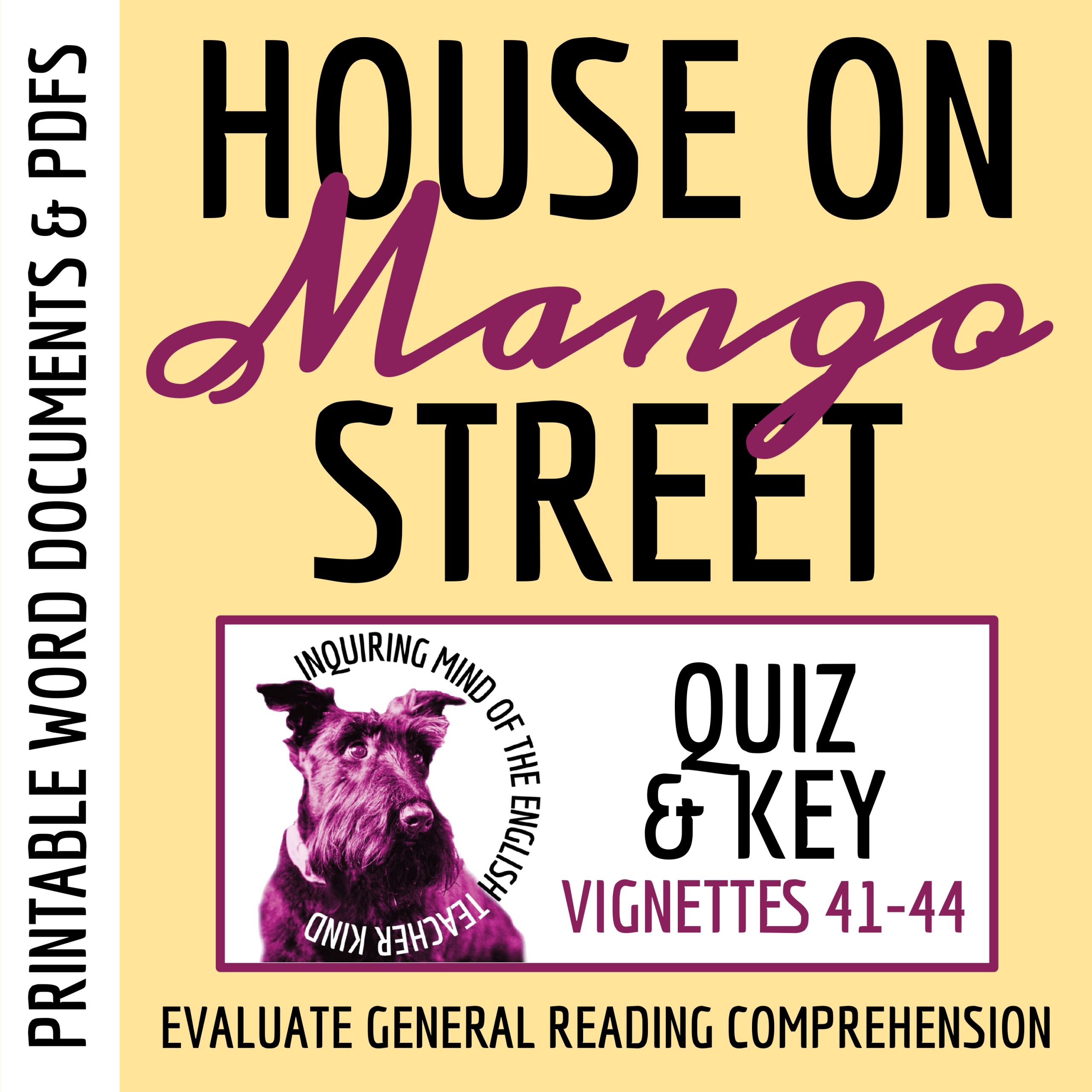 House on Mango Street Chapters 41-44 Quiz & Key | Independent Reading Worksheet