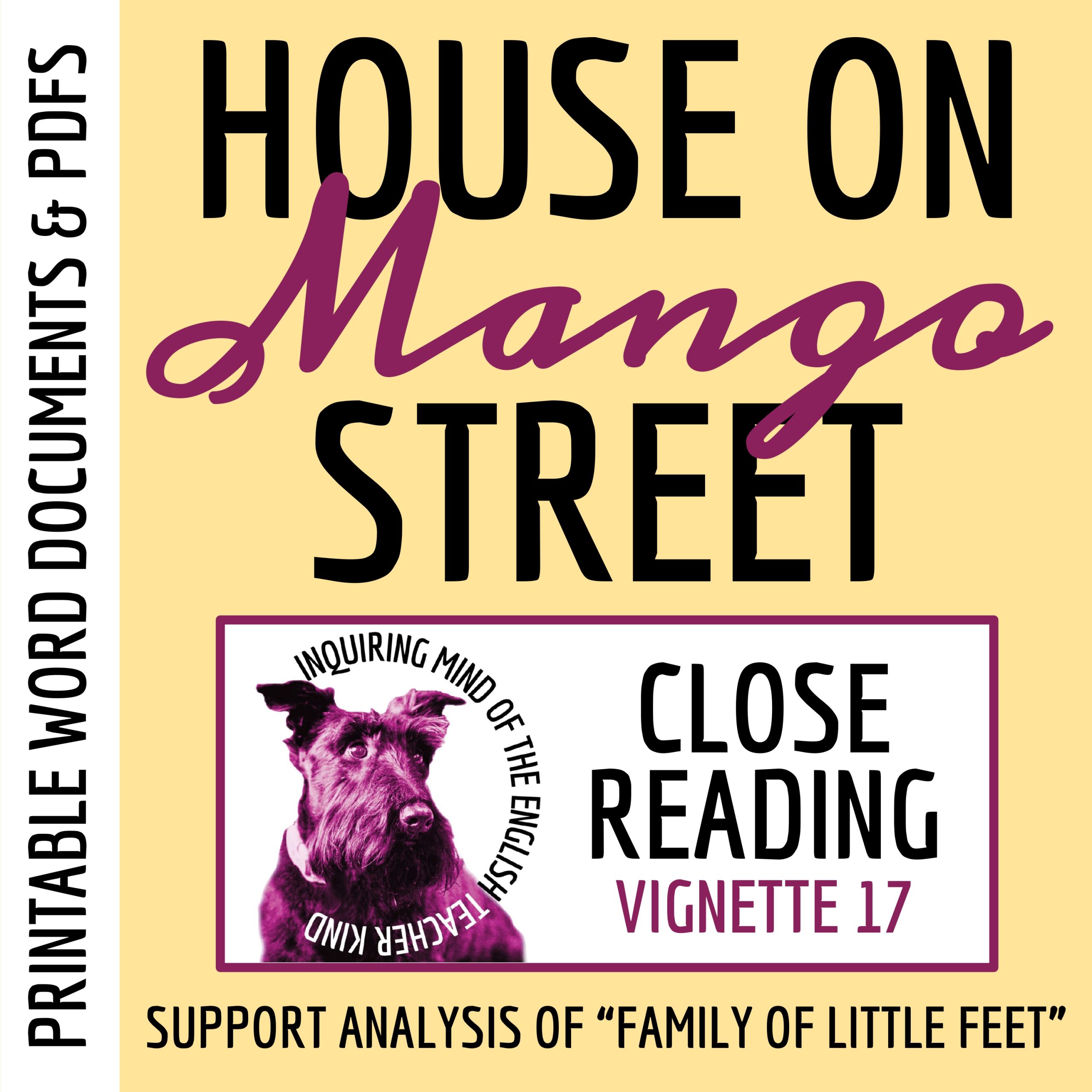 The House on Mango Street Close Reading Worksheet (The Family of Little Feet)