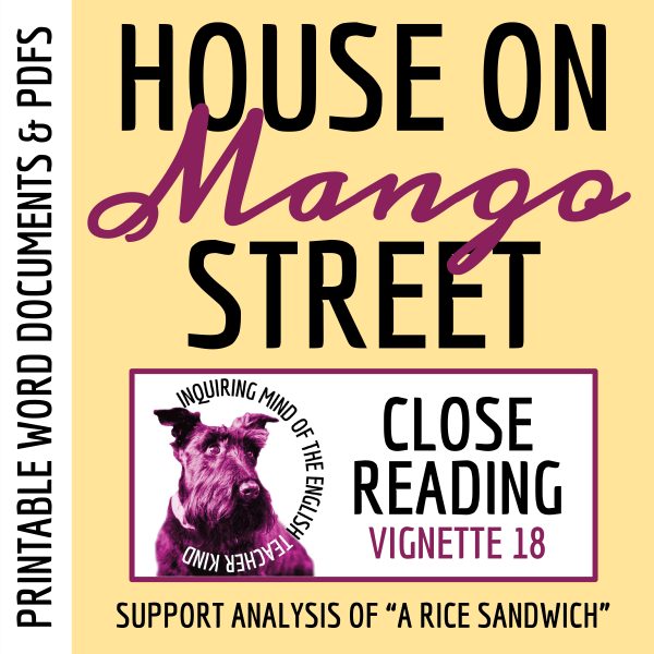 The House on Mango Street Close Reading Worksheet (A Rice Sandwich ...