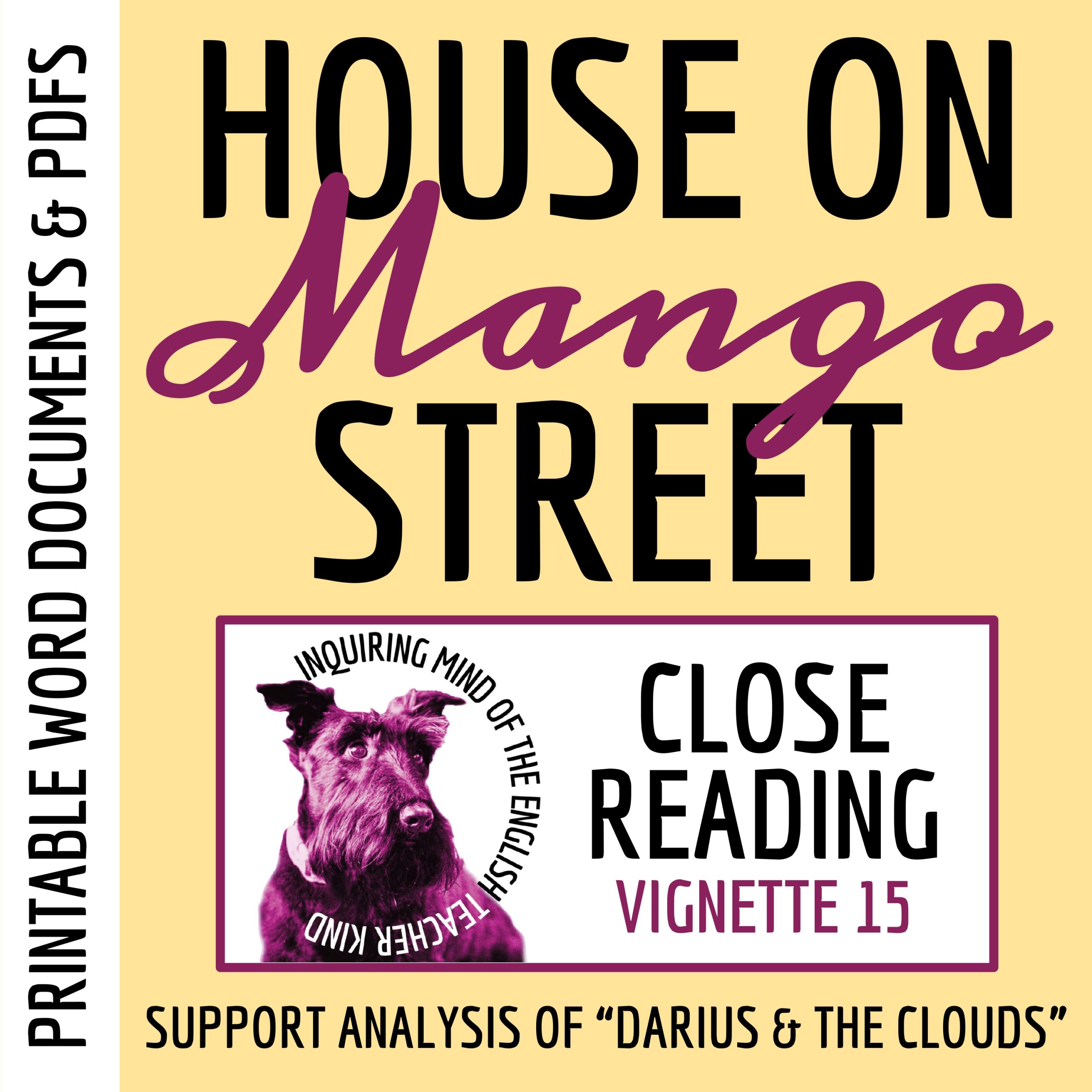 The House on Mango Street "Darius and the Clouds" Close Reading Analysis Worksheet