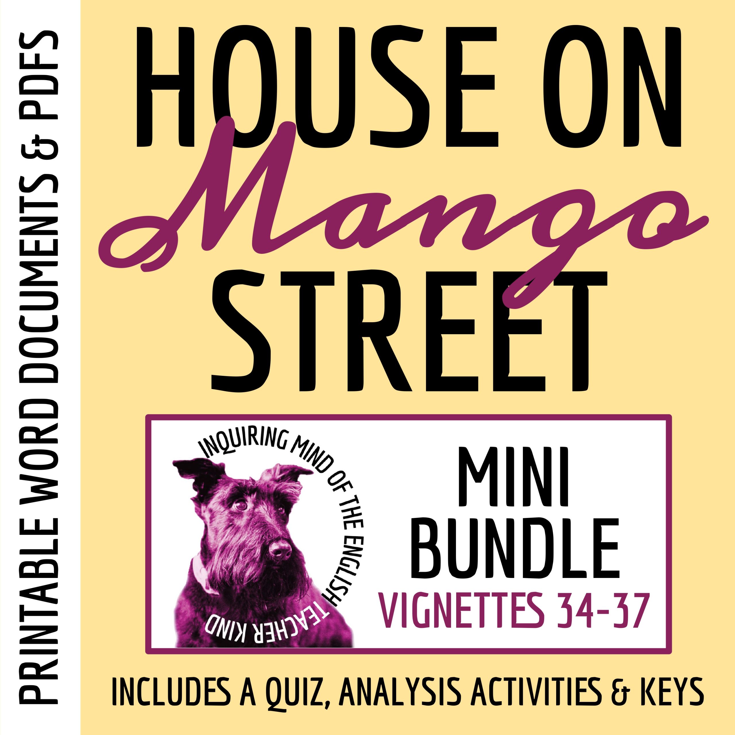 House on Mango Street Quiz and Close Reading Worksheets Bundle (Vignettes 34-37)