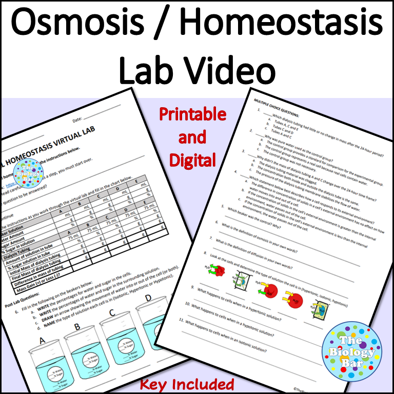 Osmosis Homeostasis Virtual Lab